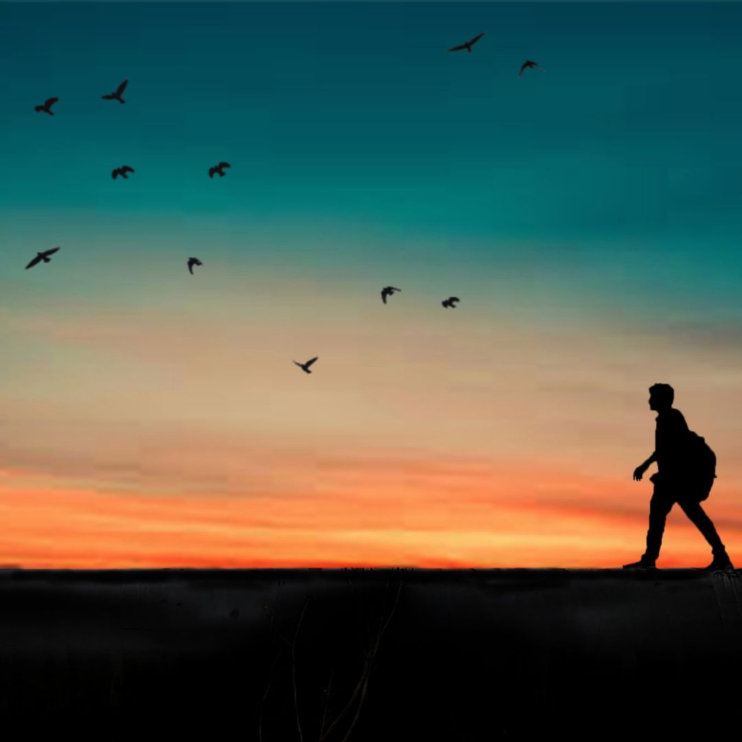 Silhouette of a person walking at sunset with birds flying in the sky.